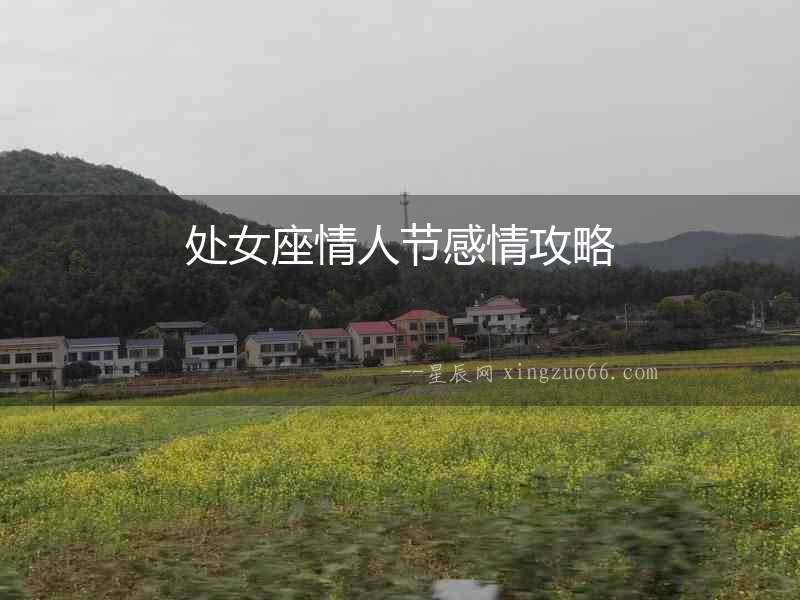 處女座情人節(jié)感情攻略