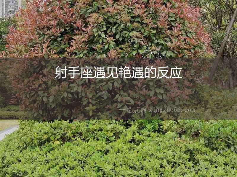 射手座遇見艷遇的反應