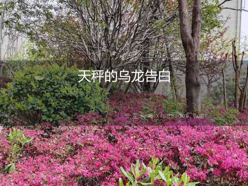 天秤的烏龍告白