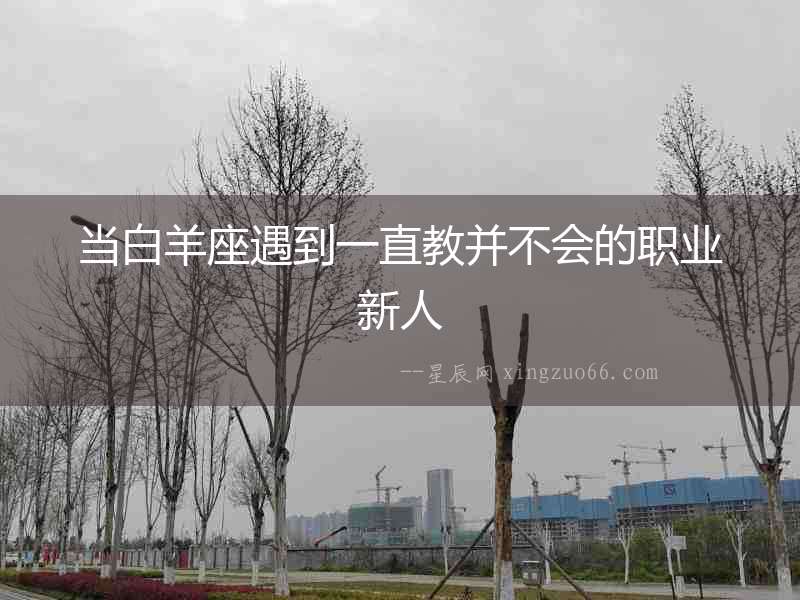 當白羊座遇到一直教并不會的職業新人