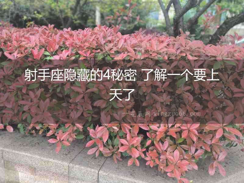 射手座隱藏的4秘密 了解一個(gè)要上天了