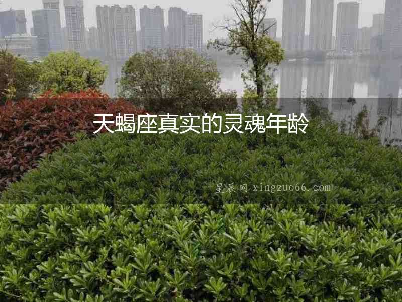 天蝎座真實的靈魂年齡