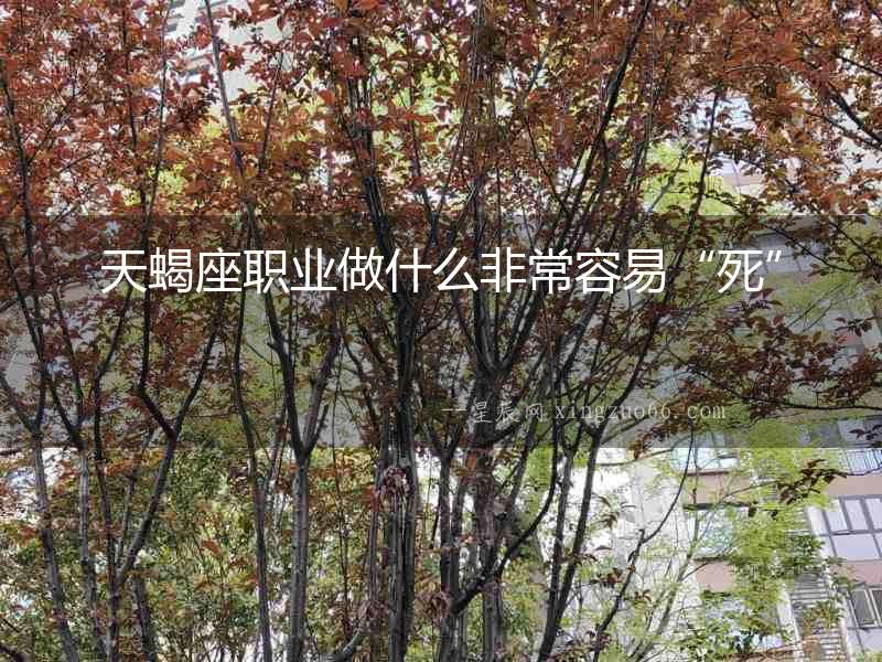 天蝎座職業(yè)做什么非常容易“死”