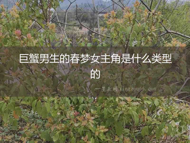 巨蟹男生的春夢女主角是什么類型的