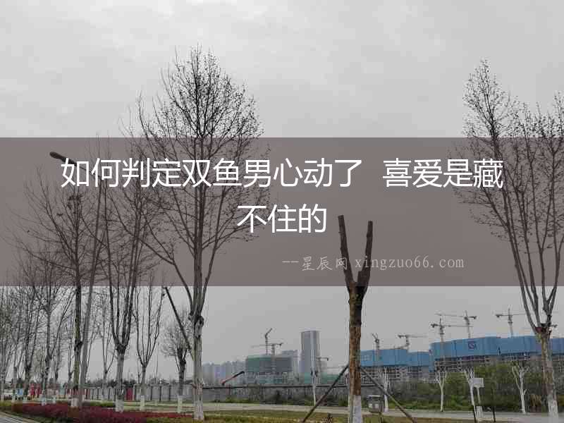 如何判定雙魚男心動了  喜愛是藏不住的