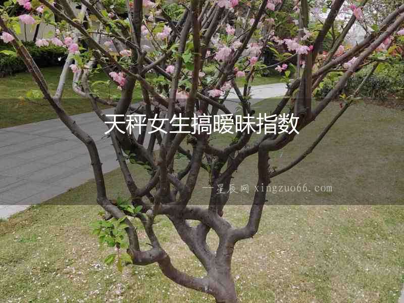 天秤女生搞曖昧指數(shù)