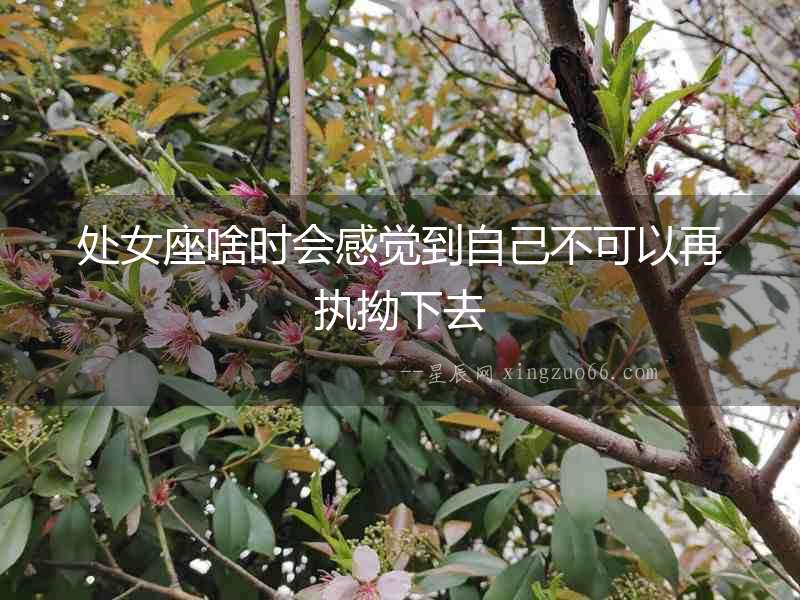 處女座啥時會感覺到自己不可以再執拗下去
