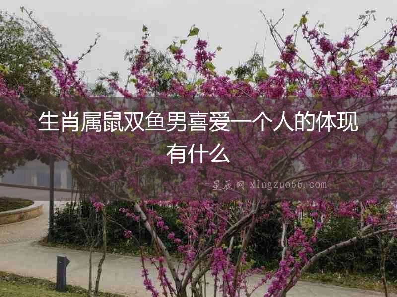 生肖屬鼠雙魚男喜愛一個人的體現有什么