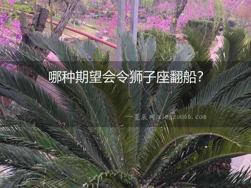 哪種期望會令獅子座翻船？