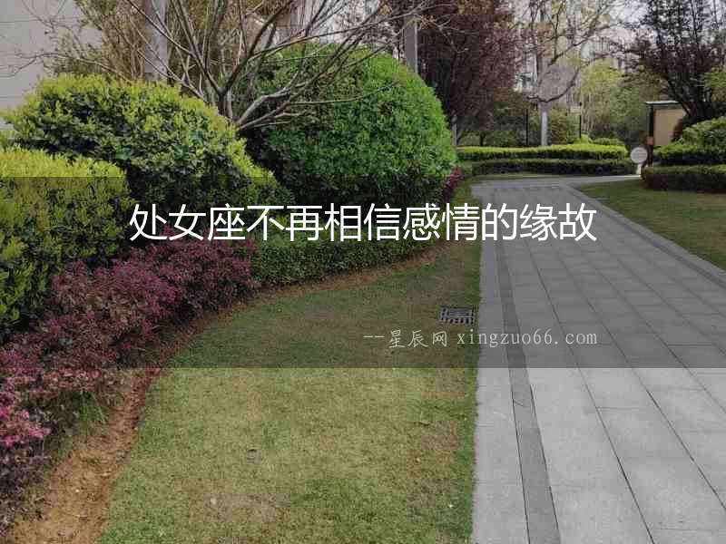 處女座不再相信感情的緣故