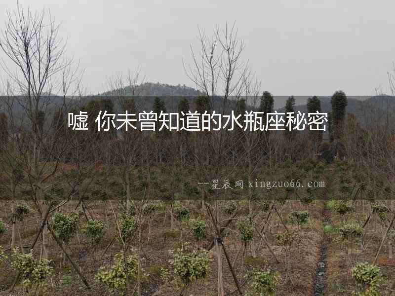 噓 你未曾知道的水瓶座秘密