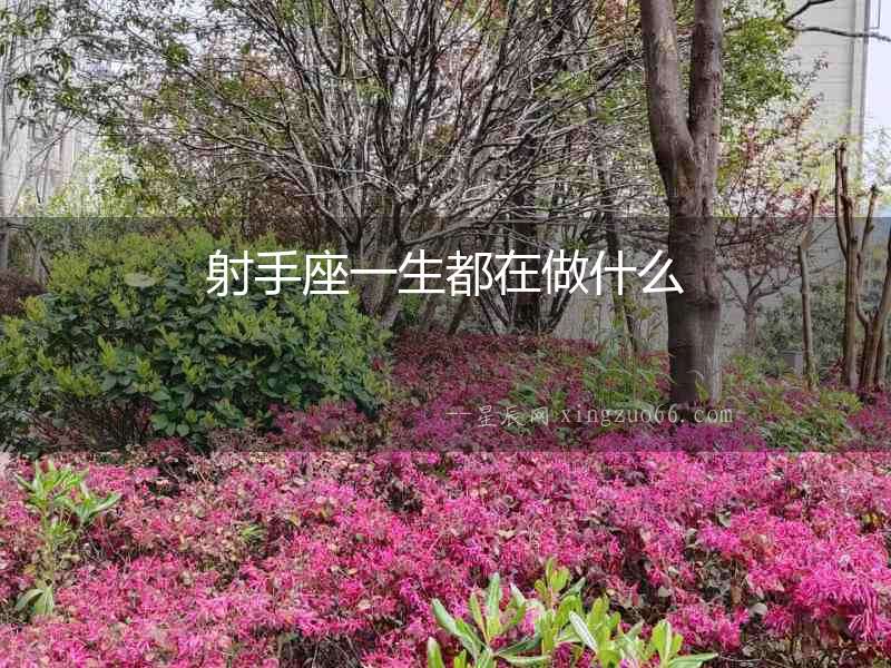 射手座一生都在做什么