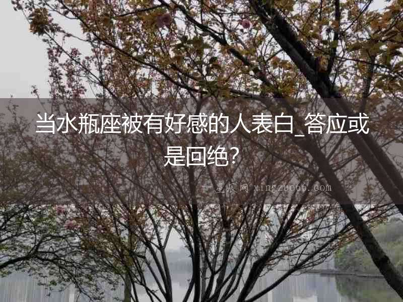 當水瓶座被有好感的人表白_答應或是回絕？
