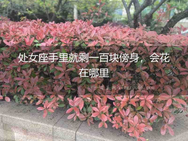處女座手里就剩一百塊傍身，會(huì)花在哪里