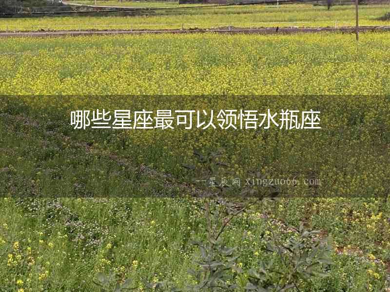 哪些星座最可以領悟水瓶座