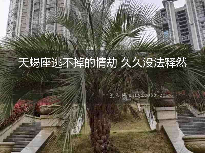 天蝎座逃不掉的情劫 久久沒法釋然