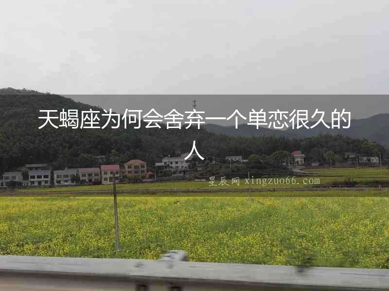 天蝎座為何會舍棄一個單戀很久的人
