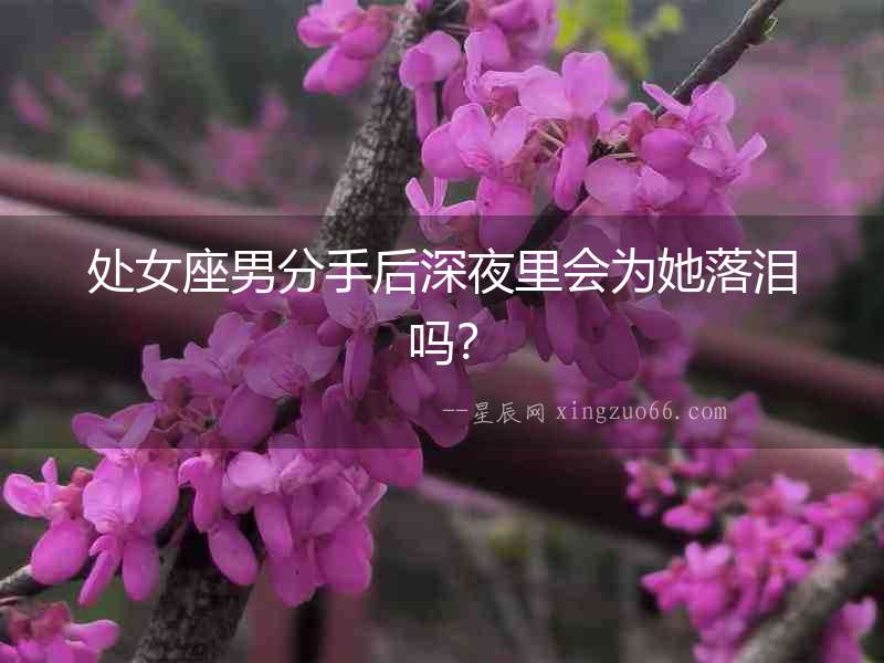 處女座男分手后深夜里會為她落淚嗎？