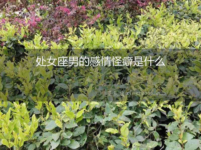 處女座男的感情怪癖是什么
