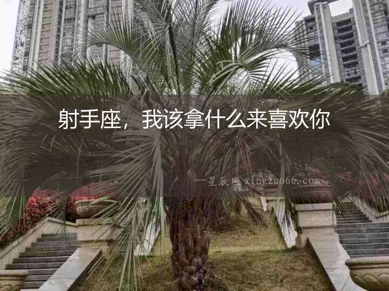 射手座，我該拿什么來喜歡你