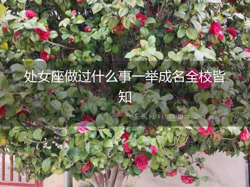 處女座做過什么事一舉成名全校皆知