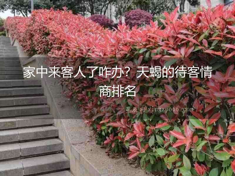 家中來客人了咋辦？天蝎的待客情商排名