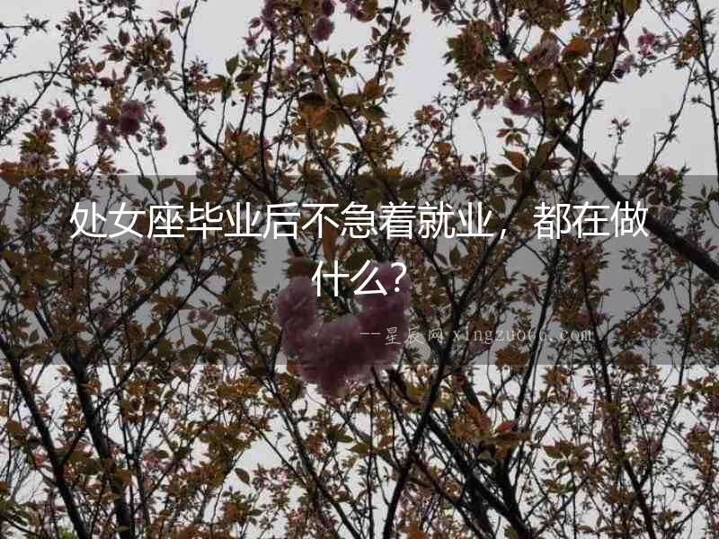 處女座畢業后不急著就業，都在做什么？