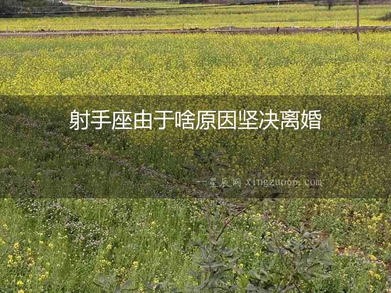 射手座由于啥原因堅(jiān)決離婚