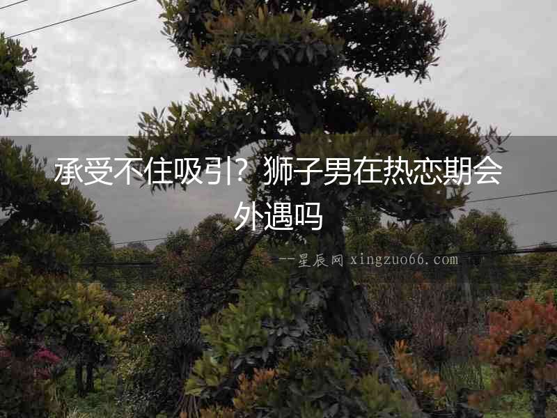 承受不住吸引？獅子男在熱戀期會(huì)外遇嗎