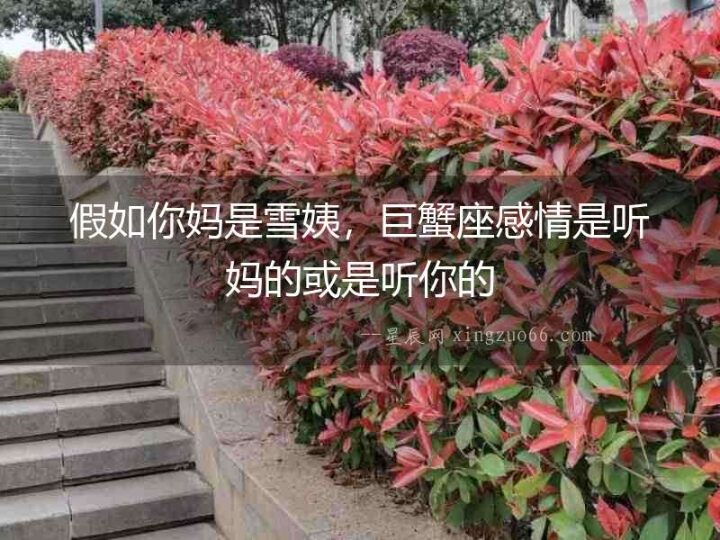 假如你媽是雪姨，巨蟹座感情是聽媽的或是聽你的