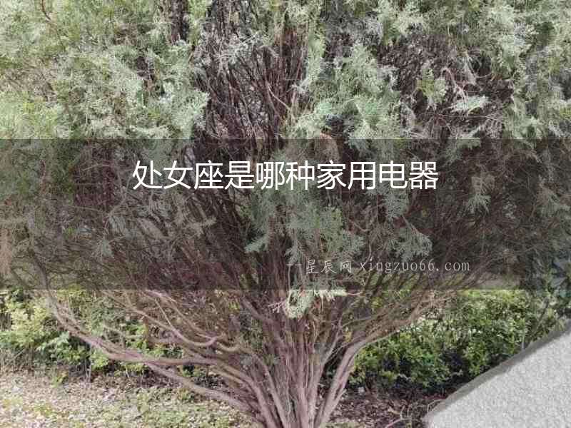 處女座是哪種家用電器