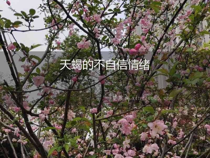 天蝎的不自信情緒