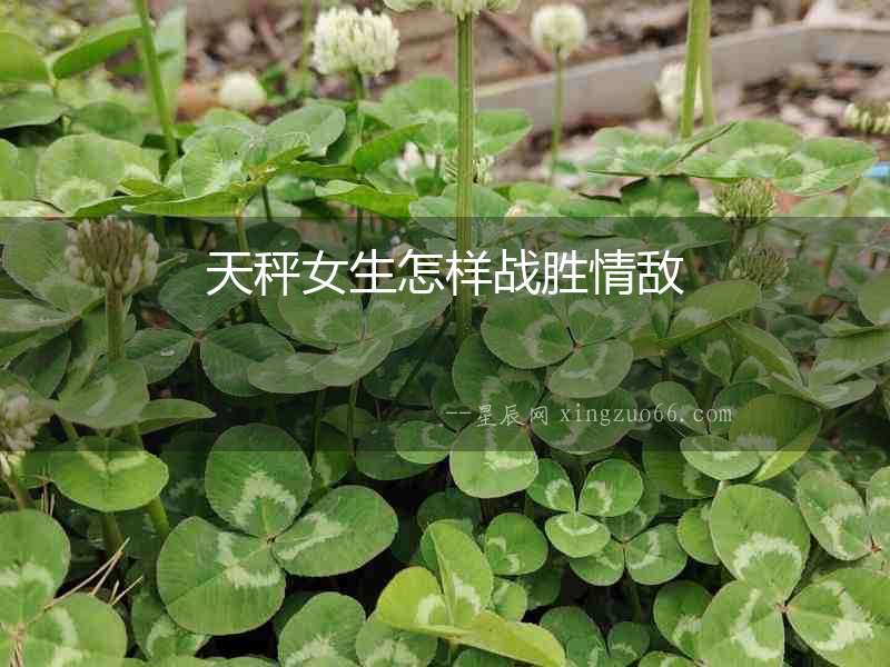 天秤女生怎樣戰勝情敵
