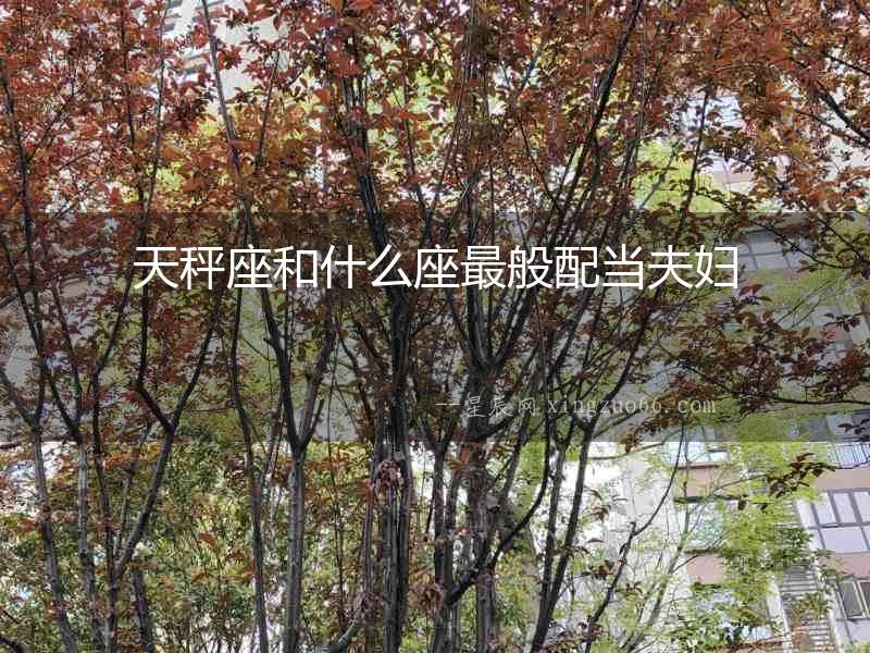 天秤座和什么座最般配當(dāng)夫婦