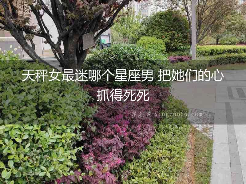 天秤女最迷哪個星座男 把她們的心抓得死死