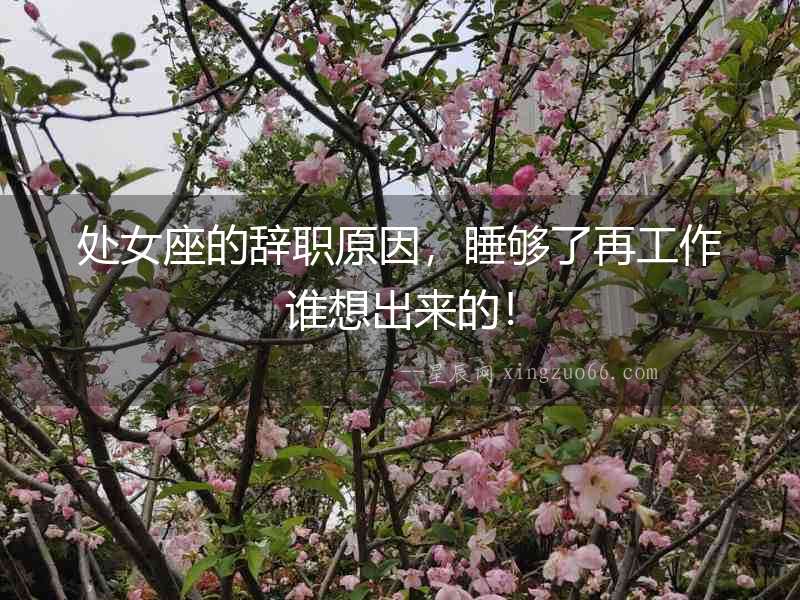 處女座的辭職原因，睡夠了再工作誰想出來的！