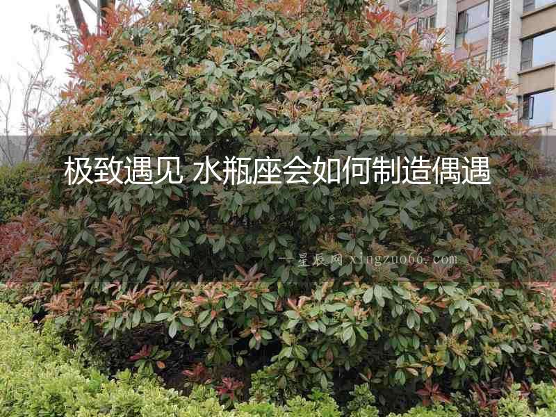 極致遇見 水瓶座會如何制造偶遇