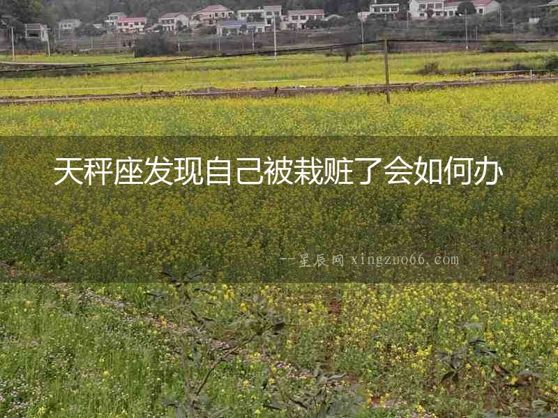 天秤座發現自己被栽贓了會如何辦