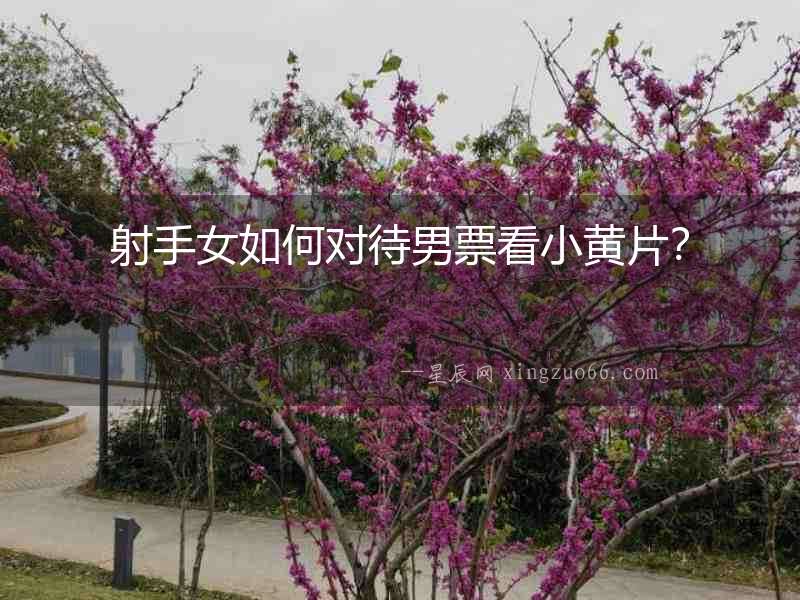 射手女如何對待男票看小黃片？