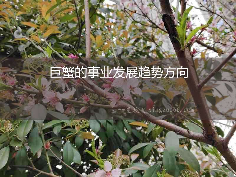 巨蟹的事業發展趨勢方向