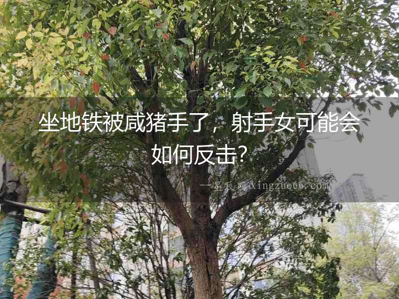坐地鐵被咸豬手了，射手女可能會如何反擊？