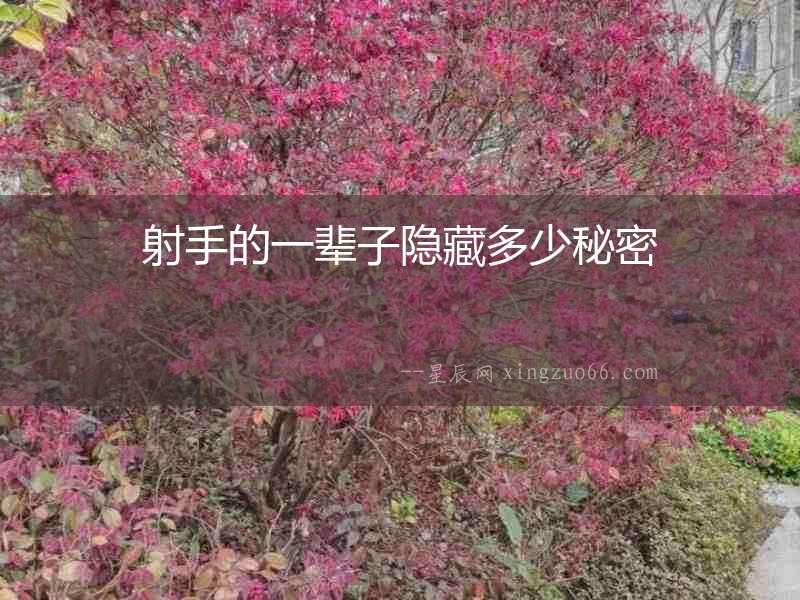 射手的一輩子隱藏多少秘密