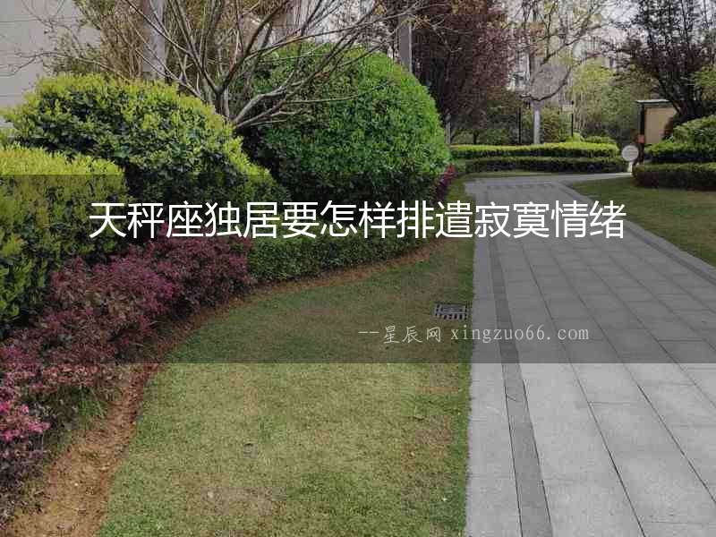 天秤座獨居要怎樣排遣寂寞情緒