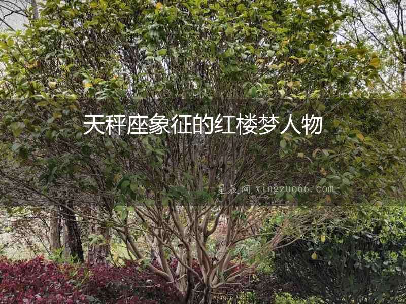 天秤座象征的紅樓夢人物