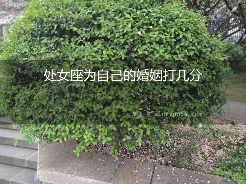 處女座為自己的婚姻打幾分