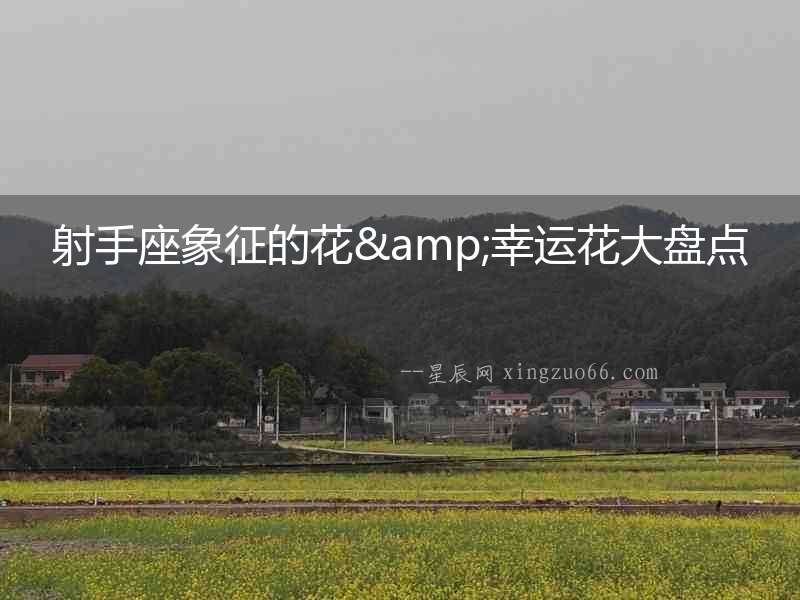 射手座象征的花&幸運(yùn)花大盤點(diǎn)