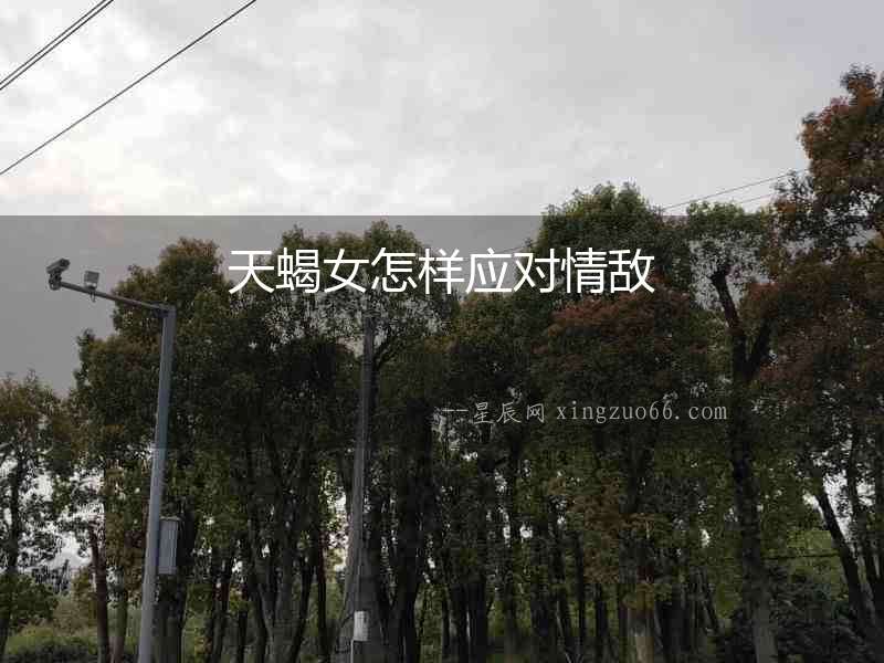 天蝎女怎樣應(yīng)對情敵