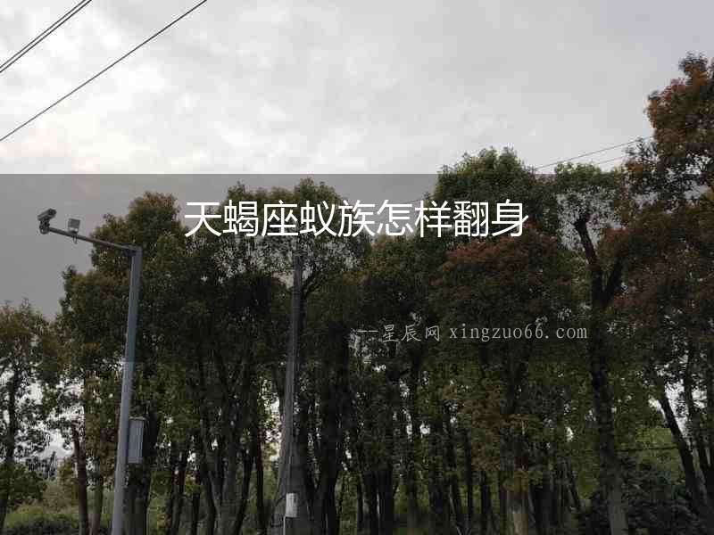 天蝎座蟻族怎樣翻身