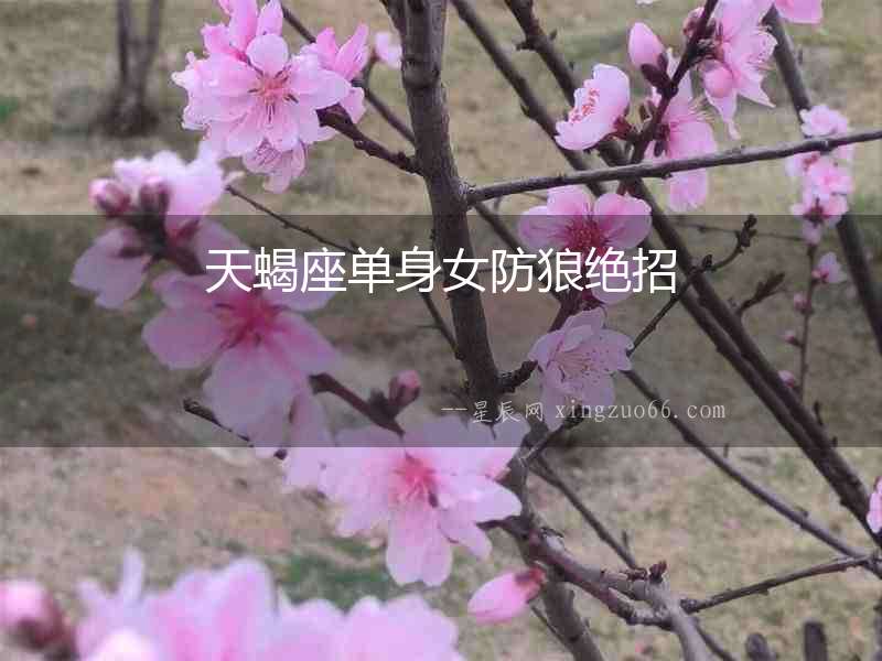 天蝎座單身女防狼絕招