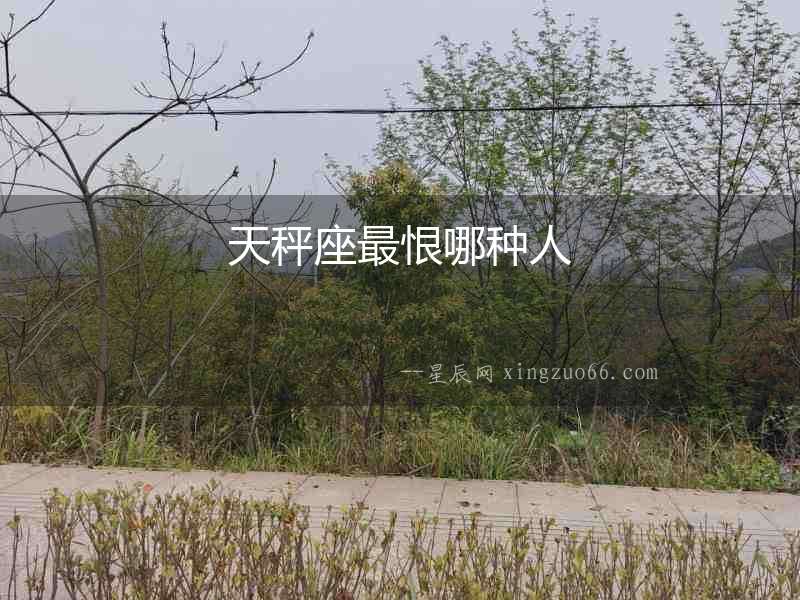 天秤座最恨哪種人